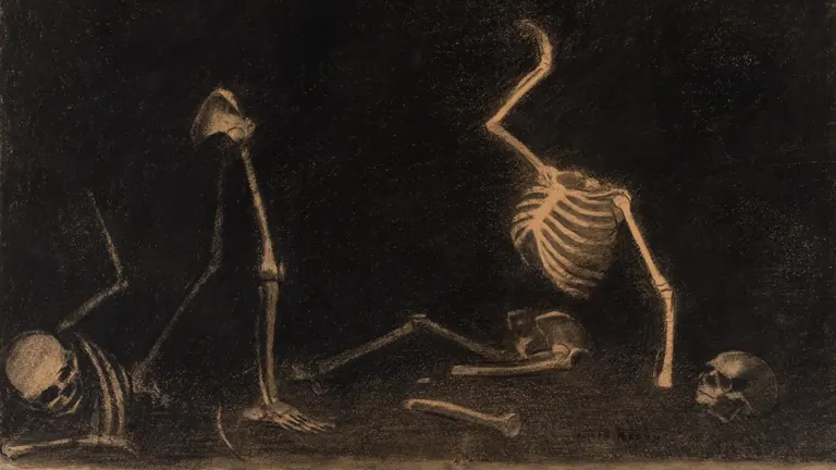 黑色背景前的骷髅，出自 Odilon Redon 的《骸骨之战》（The Battle of the Bones）