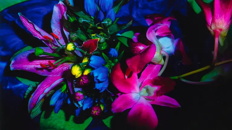 Detail from Daido Moriyama, Pretty Woman (2017)