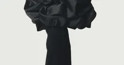Irving Penn photograph of a Balenciaga rose dress, from the PENN & FASHION exhibition