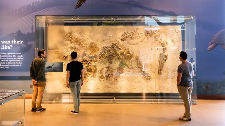 Des visiteurs observent une grande dalle fossile sous vitrine, montrant un reptile marin, dans Dinosaur Hall