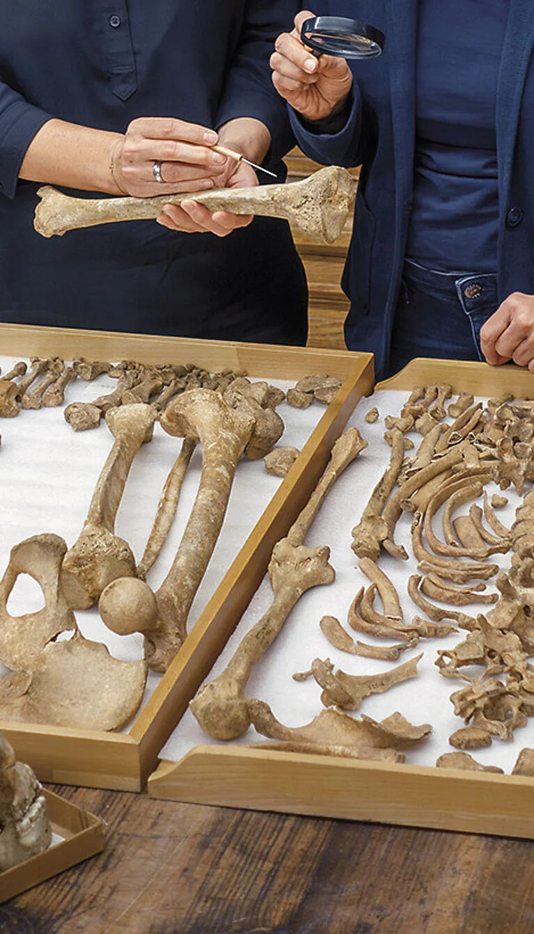 عظام من مشروع HistoGenes البحثي، معروضة في GENchangers في NHM Vienna