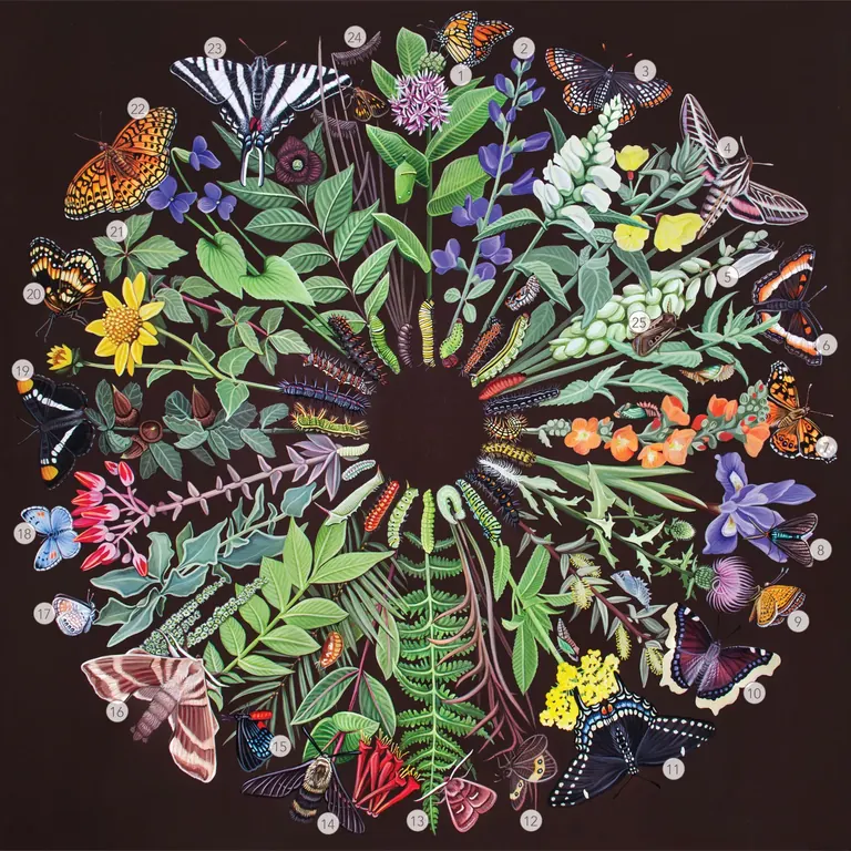 Catie Michel, The Carrier Bag (Species Key), shown in Re-Inhabiting Conservation: Our Shared Skies