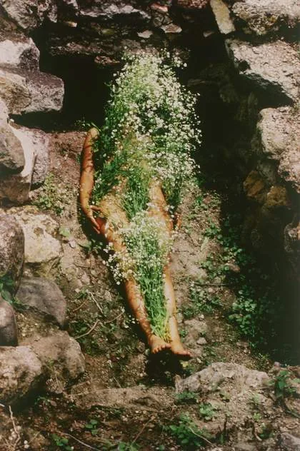 Work by Ana Mendieta from her Silueta series