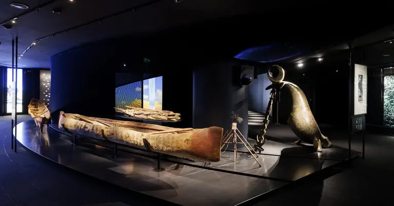 Display in the Shaped by the Sea permanent gallery