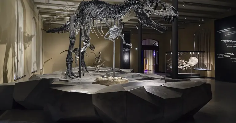 T. rex skeleton in the DINOSAURS! special exhibition