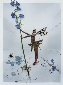 Fotografia en color d’un home negre vestit de fada que sosté la tija d’una planta amb flors blaves; als seus peus hi ha flors blaves i, a un costat, una abella.