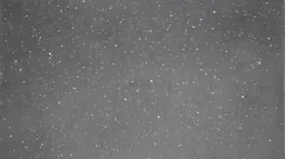 Vija Celmins, Night Sky #11 (1995), part of the Contemporary Counterpoint exhibition at Musée de l'Orangerie