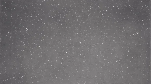 Vija Celmins, Night Sky #11 (1995), part of the Contemporary Counterpoint exhibition at Musée de l'Orangerie