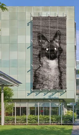 Michal Rovner's Untitled/Night, 2016 — a jackal with glowing eyes — on the Anne H. Fitzpatrick Facade of the Isabella Stewart Gardner Museum