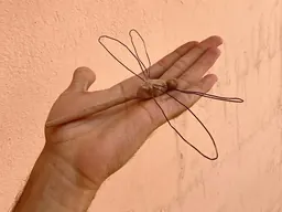 Mohammad Alfaraj, A dragonfly of clay and wire, 2022
