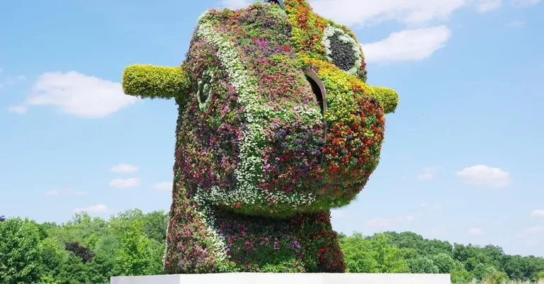 Jeff Koons, Split-Rocker, 2000, a flowering topiary sculpture on the grounds of Glenstone
