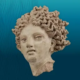 Imagen principal de la exposición Etruschi e Veneti