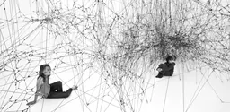 Tomás Saraceno, 14 Billions