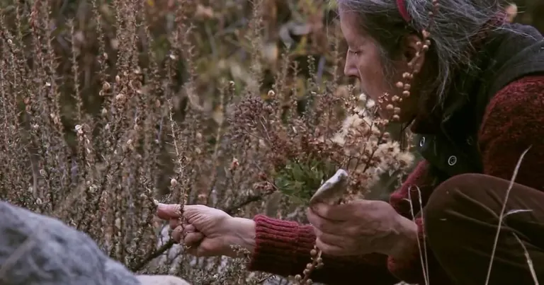 لقطة من عمل Cecilia Vicuña «Semiya Seed Song»، المعروض في معرض Seeds