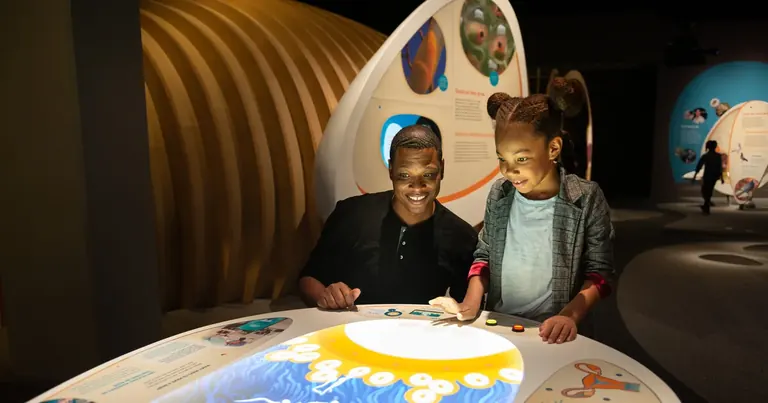 Un homme et une fille devant une table interactive illuminée dans la galerie Life!