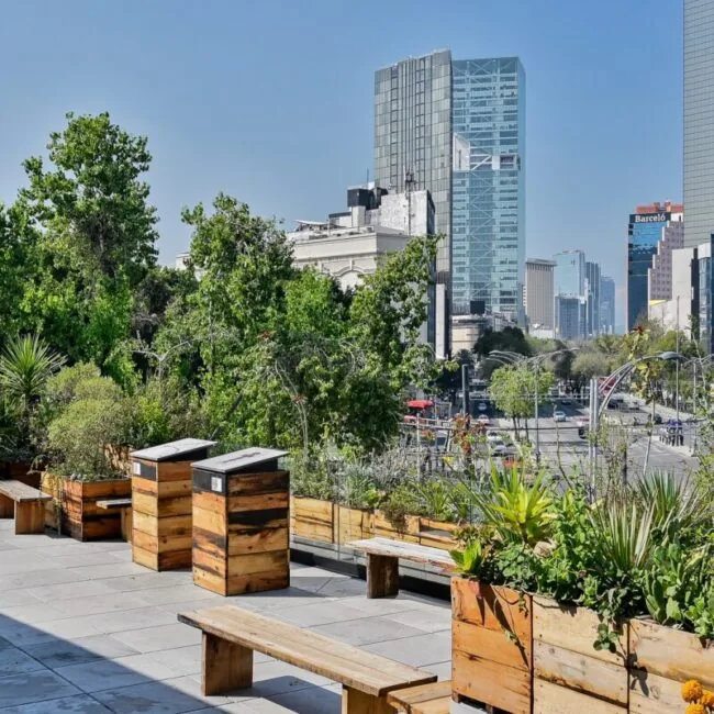 Terrasse plantée sur le toit du Museo Kaluz, avec vue plongeante sur le Paseo de la Reforma