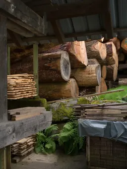 Η ξύλινη εγκατάσταση This Is Not a Forest στο DAC