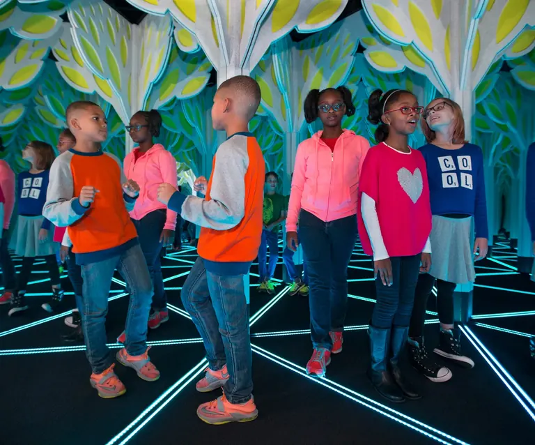 Numbers in Nature: A Mirror Maze au Griffin Museum of Science and Industry