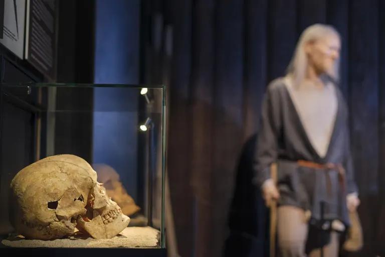 Vestiges archéologiques dans une nouvelle vitrine au The Viking Museum