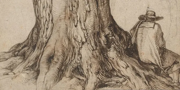 Jacques de Gheyn II, Study of a tree trunk, 1598-1608