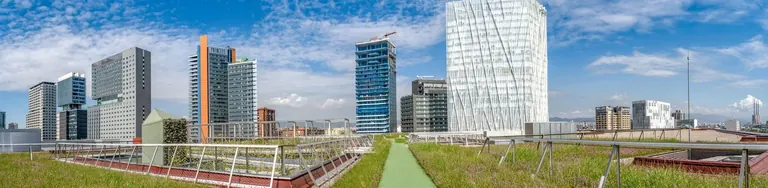 The Living Terrace green roof on the Museu Blau building