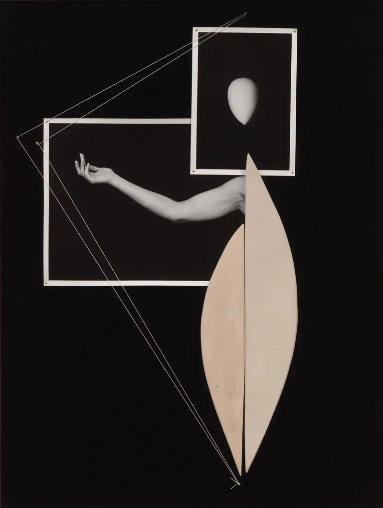 MoMA 的《Hyundai Card First Look: Sheree Hovsepian》展览