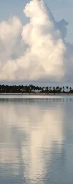 Image from Polynesia 66 by Veronique Caye
