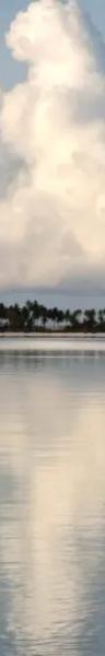 Image from Polynesia 66 by Veronique Caye
