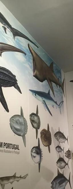 Illustrare exhibition view