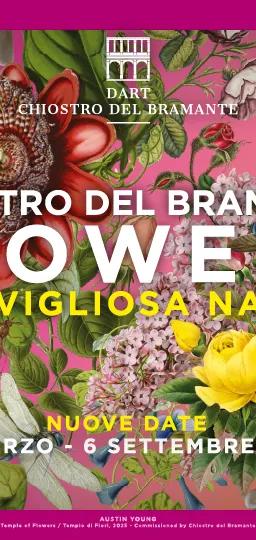 Flowers. Wonderful Nature exhibition at Chiostro del Bramante