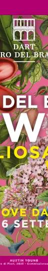 Flowers. Wonderful Nature exhibition at Chiostro del Bramante