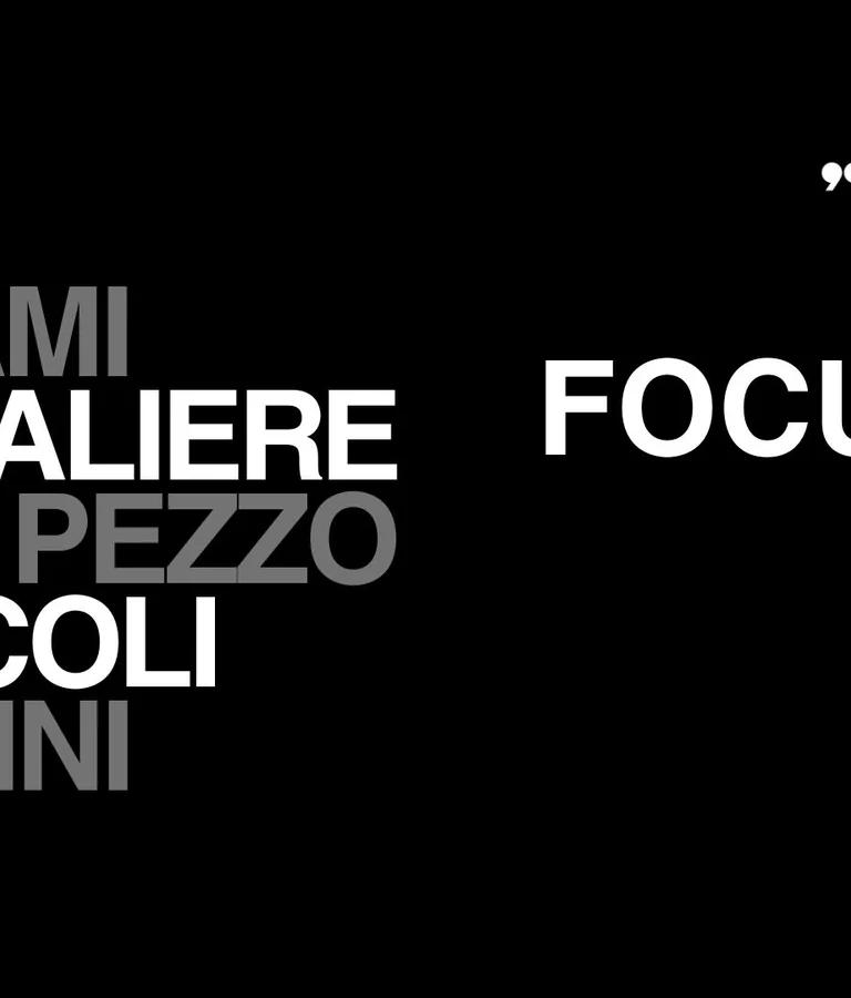 FOCUS900 Adami, Cavaliere, Del Pezzo, Piccoli, Tadini