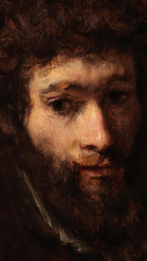 Rembrandt van Rijn, Bust of a Young Bearded Man (detail), about 1656–58, oil on panel