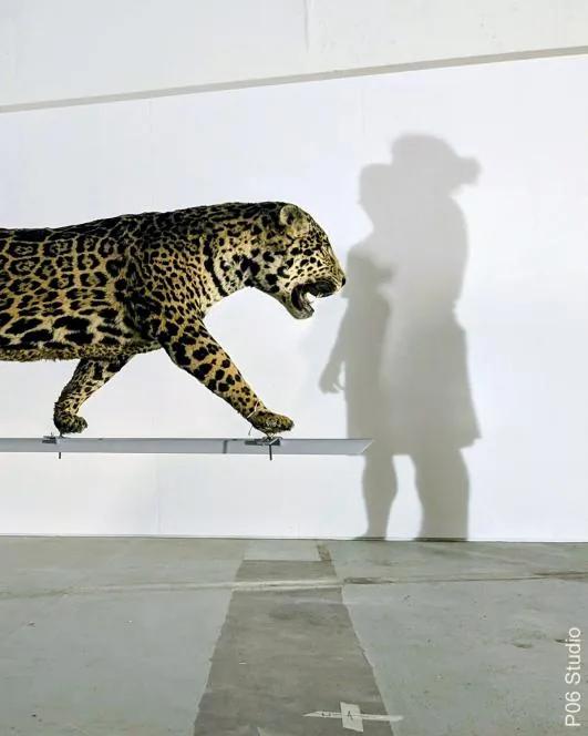 ANTROPO(CÉNICO) exhibition, Museu Nacional de História Natural e da Ciência