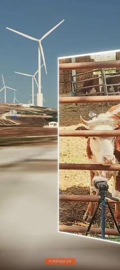 Still from Lawrence Abu Hamdan's Zifzafa livestream audio essay video work