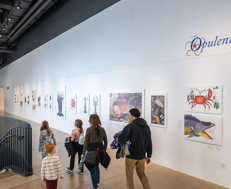 Illustrated scientific reproductions of marine life on display in Opulent Oceans