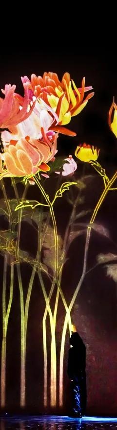 Proliferating Immense Life - A Whole Year per Year installation at teamLab Borderless