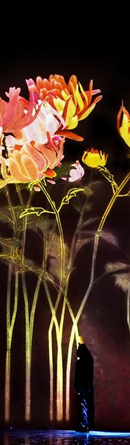 Proliferating Immense Life - A Whole Year per Year installation at teamLab Borderless