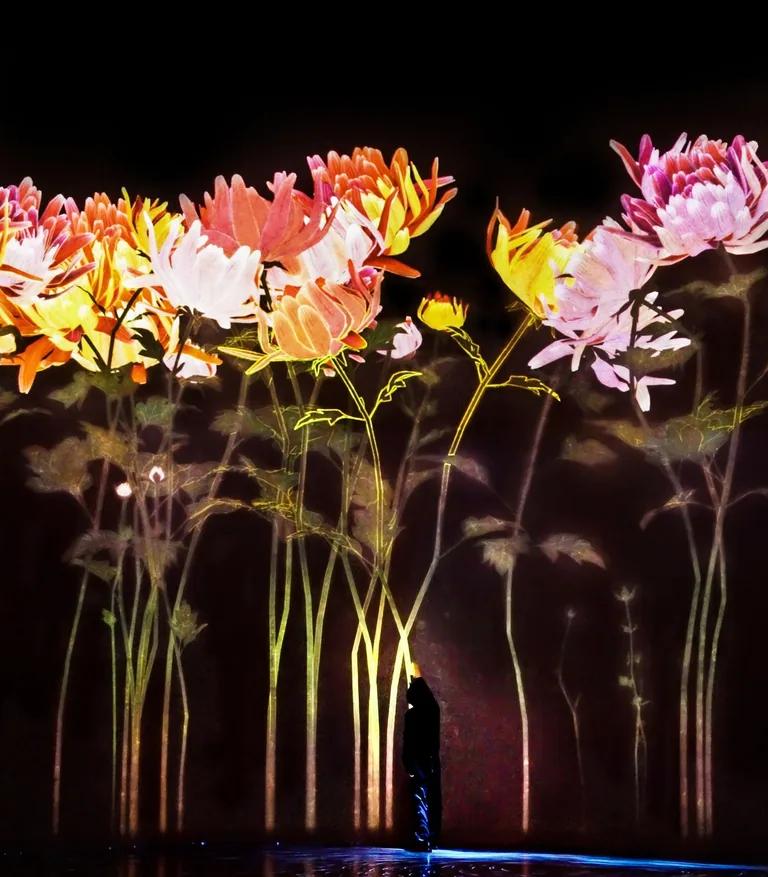 Proliferating Immense Life - A Whole Year per Year installation at teamLab Borderless