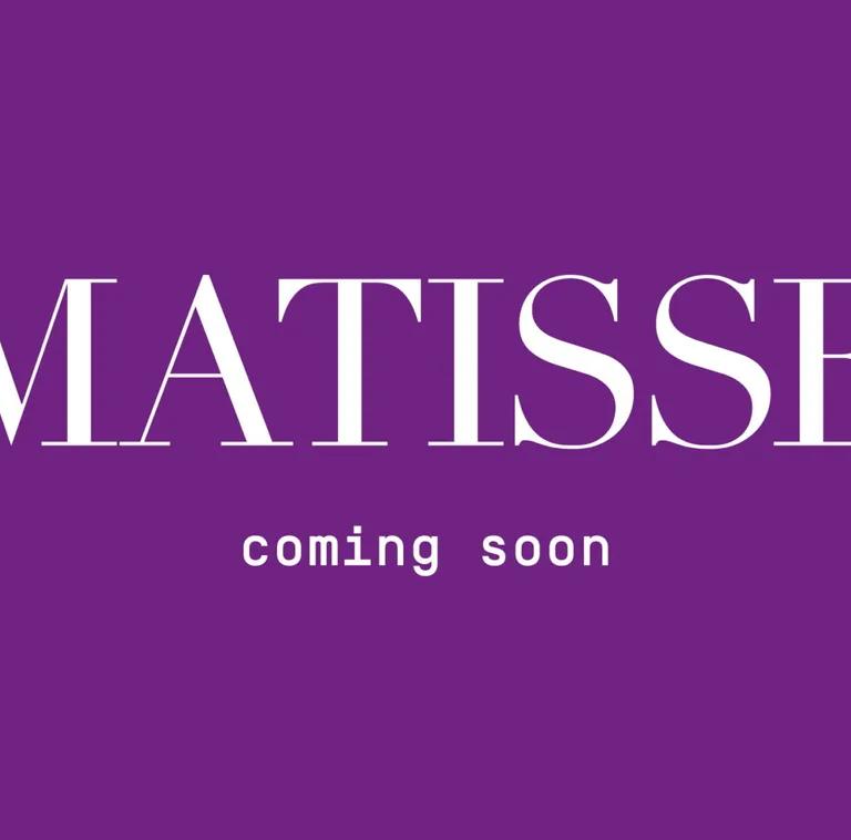 Matisse: The World in a Room exhibition banner at MUDEC