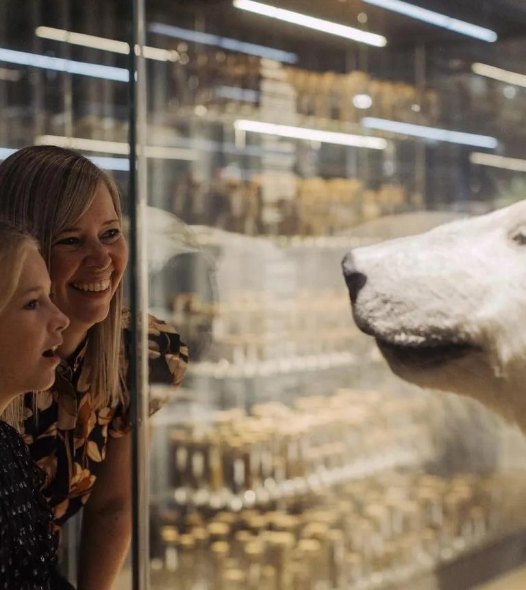 Specimens on display in the Wild Wonderful World exhibition
