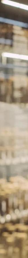 Specimens on display in the Wild Wonderful World exhibition