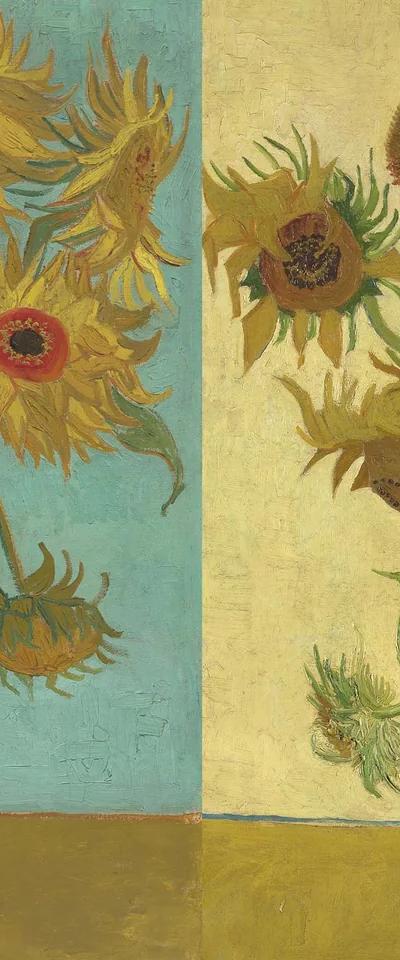 Vincent van Gogh's Sunflowers