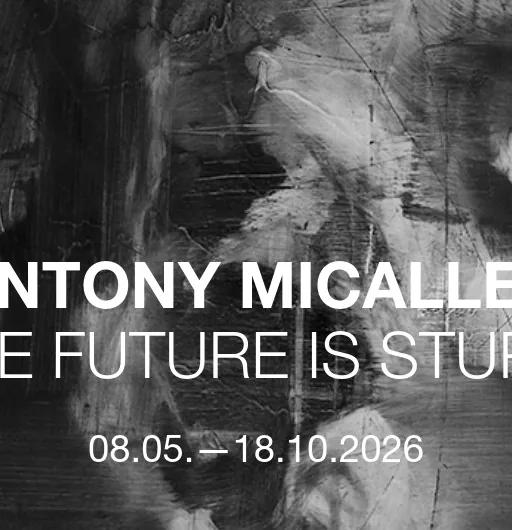 Promotional artwork for Antony Micallef's exhibition The Future Is Stupid at MUCA