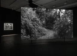 Installation view of Dawoud Bey's film 350,000 projected in the gallery