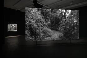 Installation view of Dawoud Bey's film 350,000 projected in the gallery