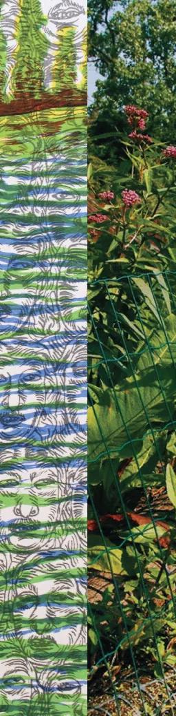 Xochicago: Floating Gardens of the Chicago River and México at the National Museum of Mexican Art