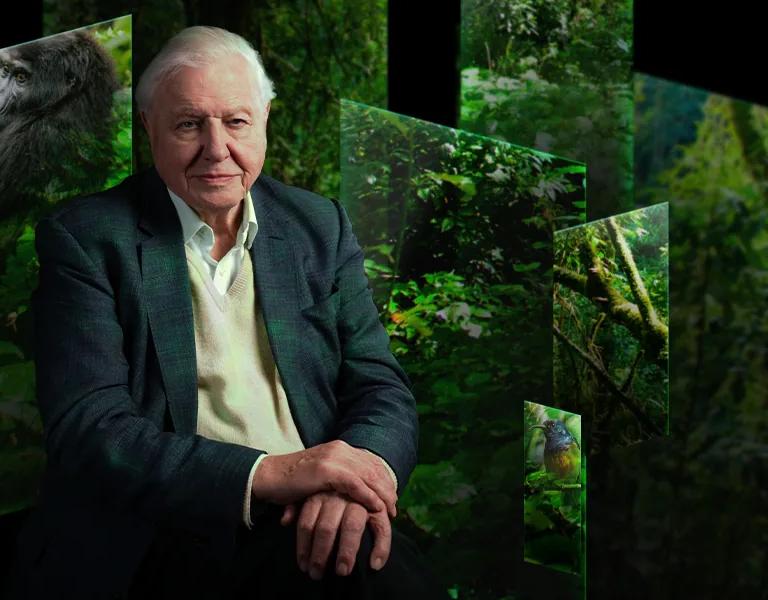 Promotional image for Our Story with David Attenborough 360 degree cinematic experience