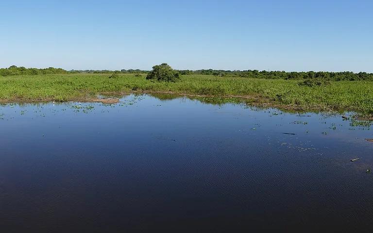 The Pantanal wetland