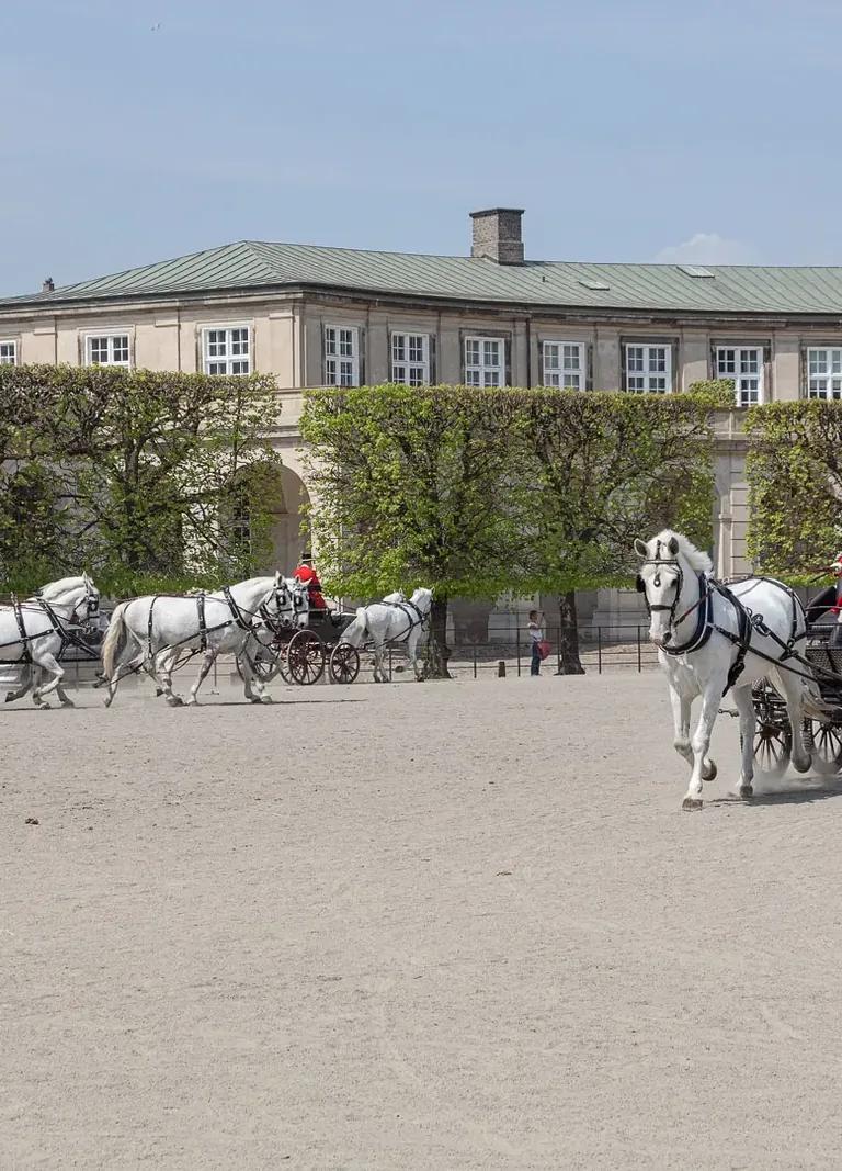 The Royal Stables at Christiansborg Palace